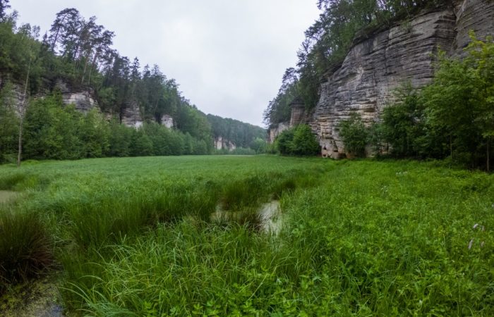 Oborský pond hiking